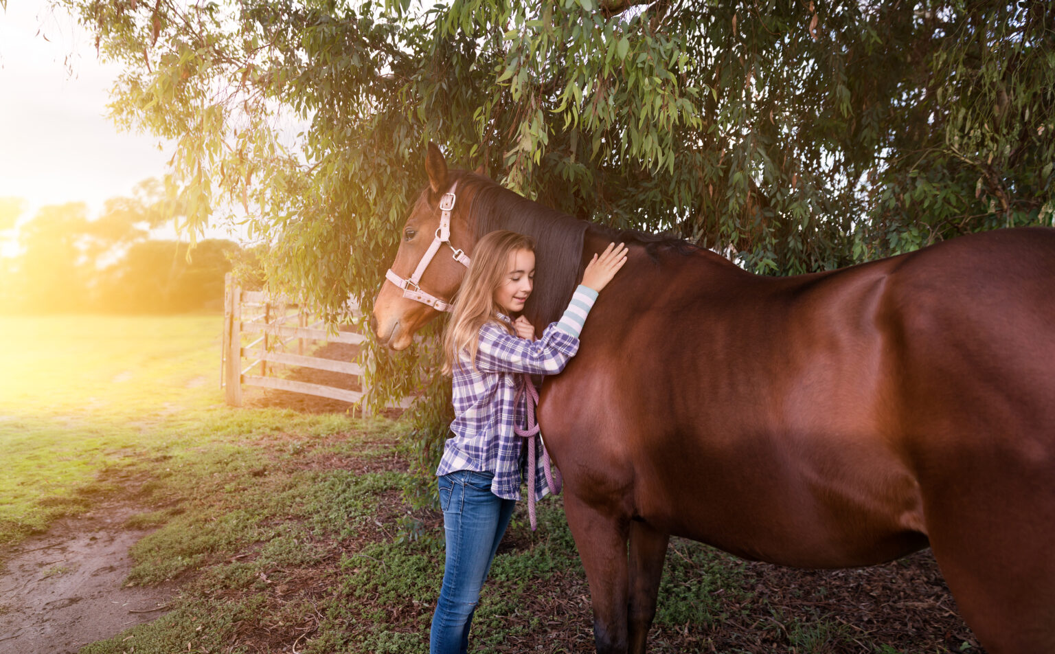 About Us Today - Equine Assisted Therapy sessions in Melbourne.